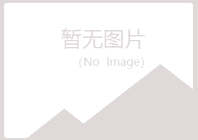 德宏紫山能源有限公司